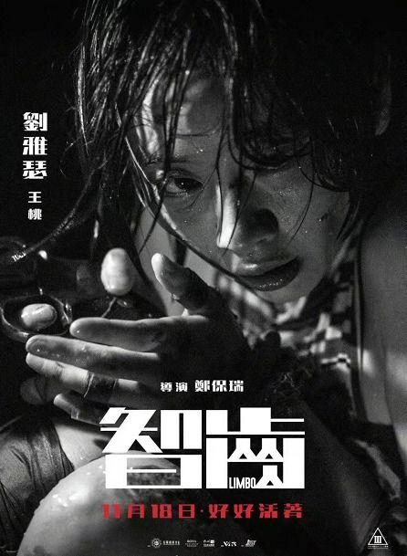 电影智齿在线观看  第1张